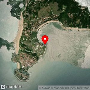 Map showing location at 46.015022, -1.170081