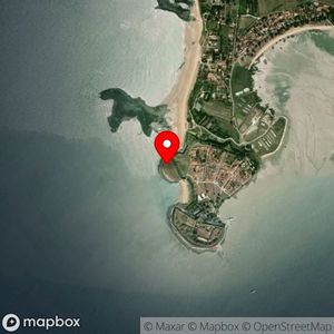 Map showing location at 46.012309, -1.178948