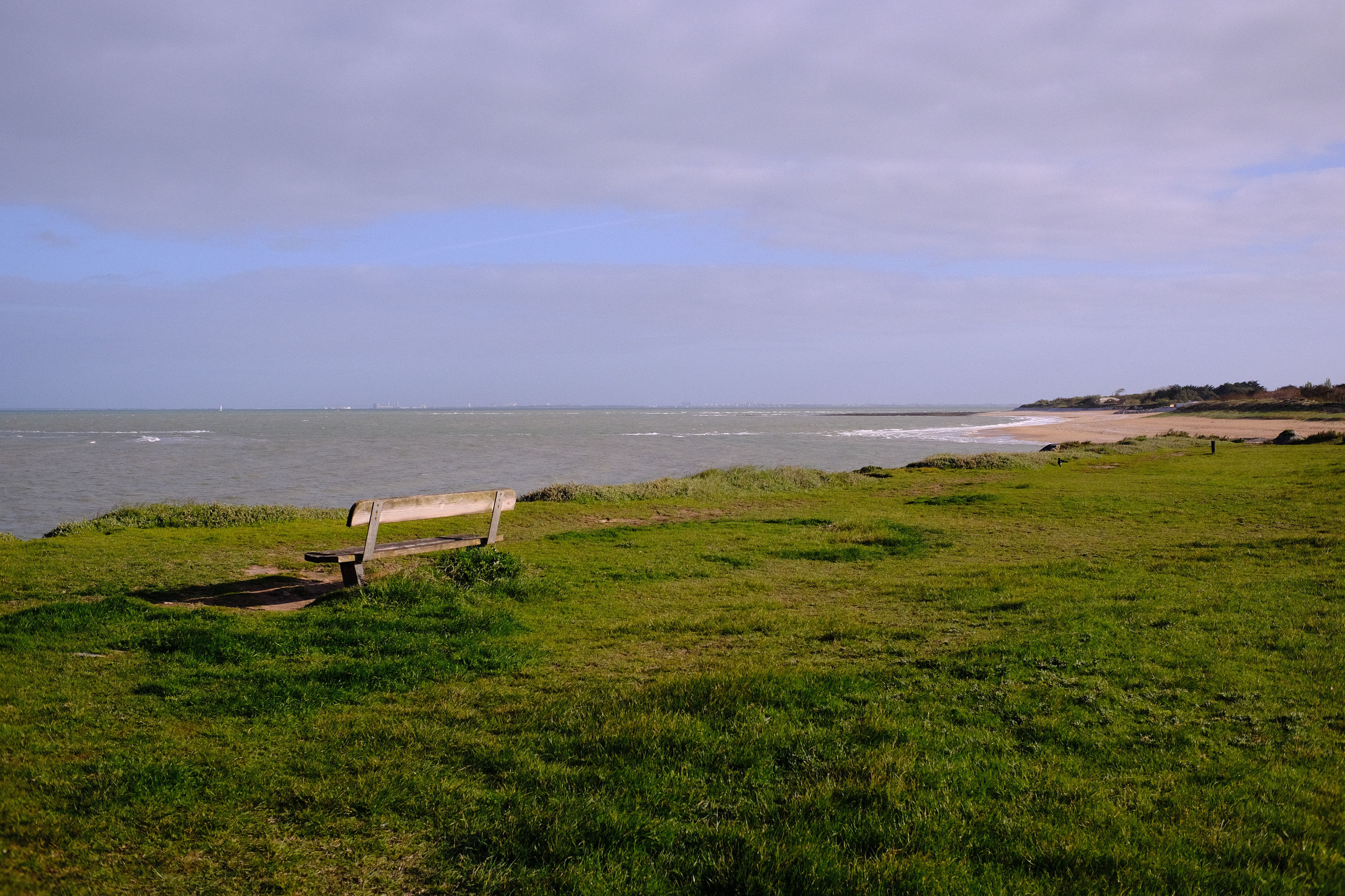 Coastal Contemplation